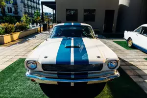 Mustang Boty