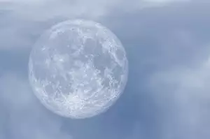 Moon Boots