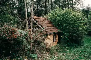 Hnědá Kabelka